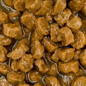 خطوط إنتاج أطعمة رطبة للحيوانات الأليفة