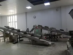 تركيب المعدات وخطوط الإنتاج في مواقع عملاؤنا
