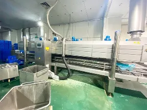 تركيب المعدات وخطوط الإنتاج في مواقع عملاؤنا