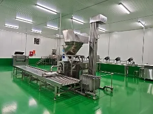 تركيب المعدات وخطوط الإنتاج في مواقع عملاؤنا