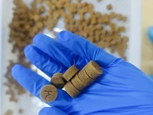 تركيب المعدات وخطوط الإنتاج في مواقع عملاؤنا