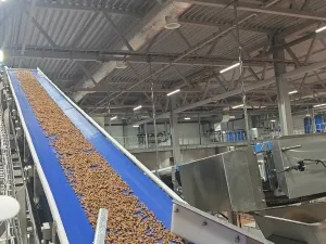 تركيب المعدات وخطوط الإنتاج في مواقع عملاؤنا